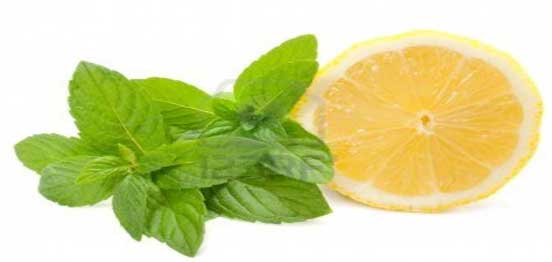 الليمون-والنعناع